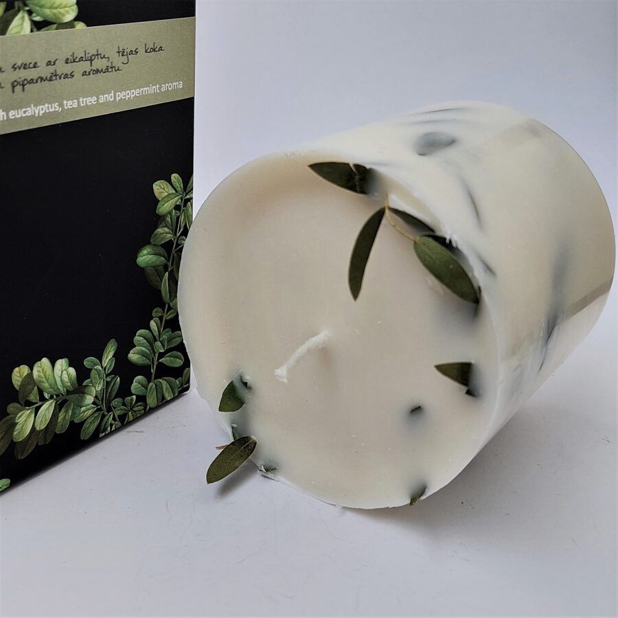 Soy wax candle with eucalyptus leaves and eucalyptus, tea tree and mint aroma - L size
