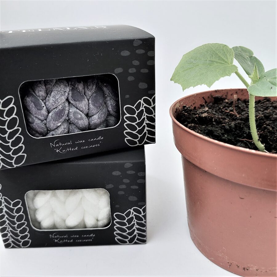 Knitted candle "Little Coziness"/ white - in box