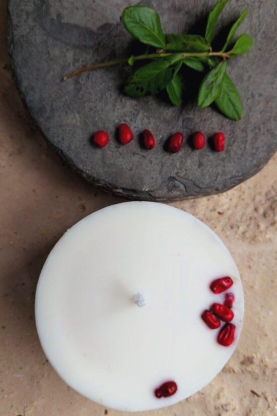Handmade Soy Wax Candle with Berries – Natural Botanical Decor | Telmas Botanica